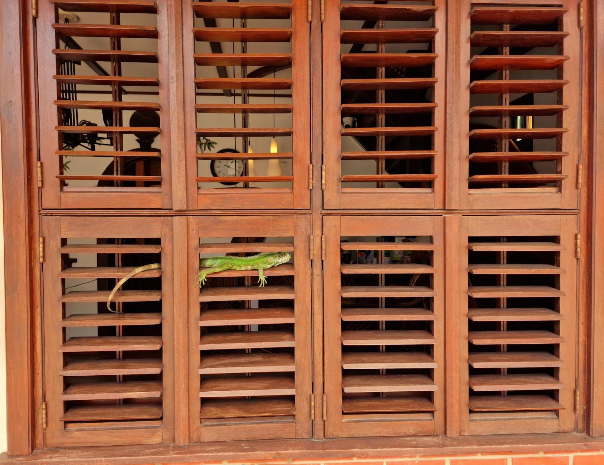 Greenheart Boutique Hotel Paramaribo Exterior photo